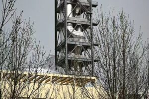 政策引领,技术赋能,南京红杉助力菱镁产业高质量发展